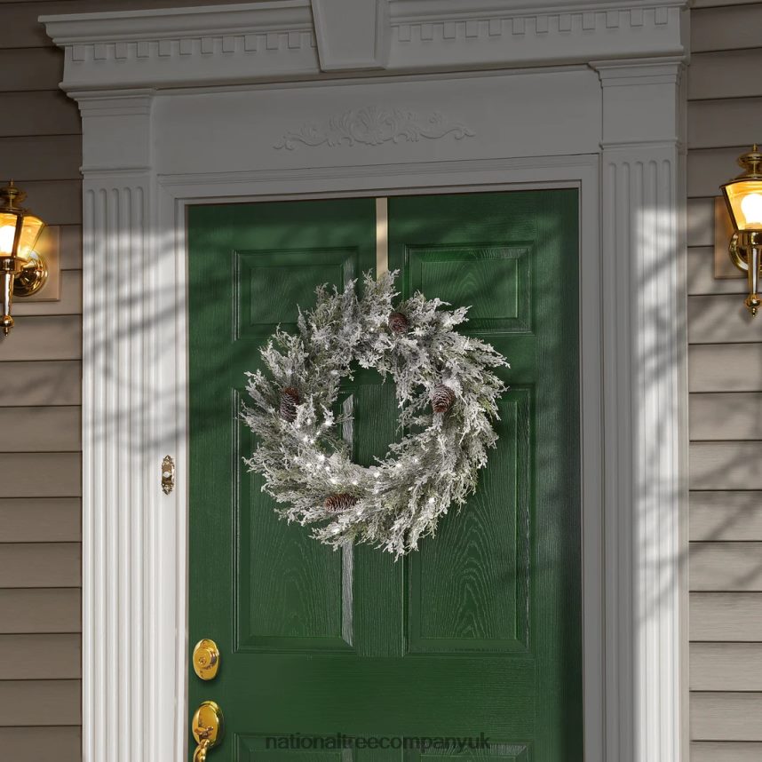 Greenery | National Tree Company 24\ Pre-Lit Snowy Christmas Wreath with Pinecones F2L4F293